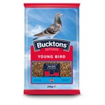 Buckton Pigeon Young Bird food